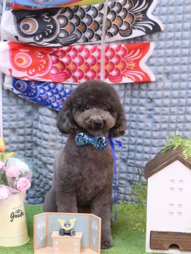 20230531chipieちゃん